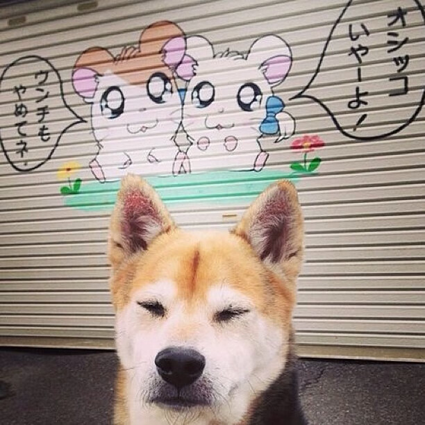 黑马突围！威廉姆斯惊险压制法拉利，周冠宇连续超车演绎火热状态