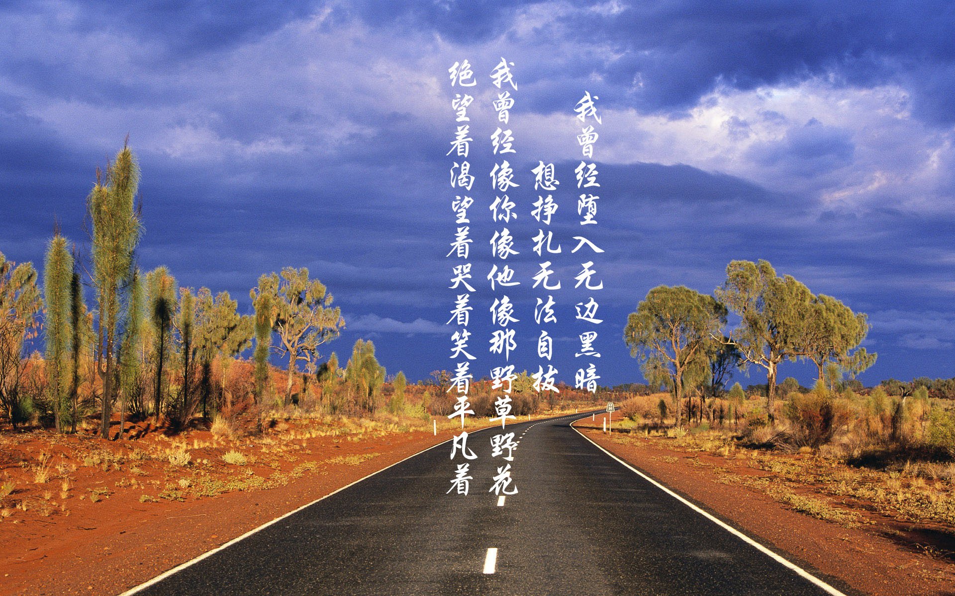 破壁之战，当波兰齿轮碾过德国战车，张本智和以怒吼点燃赛场