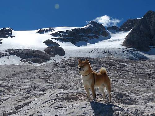 扩展思维后的文章标题
