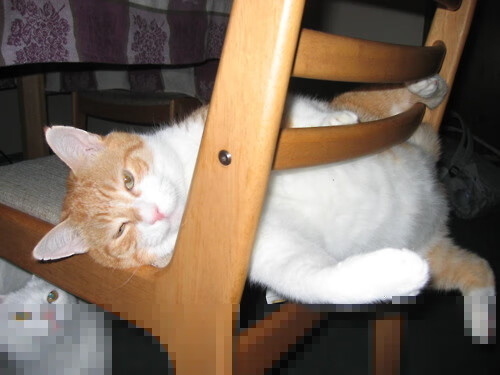 熵减的艺术，当杜兰特成为混沌球场的逆熵者