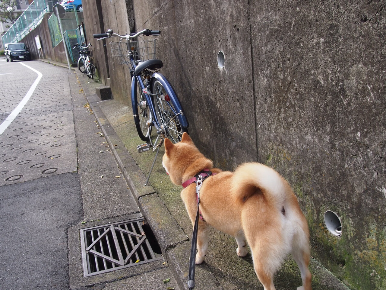 爱游戏APP-北欧雷霆对撞爱琴海波涛，神锋托尼摧毁性演出记