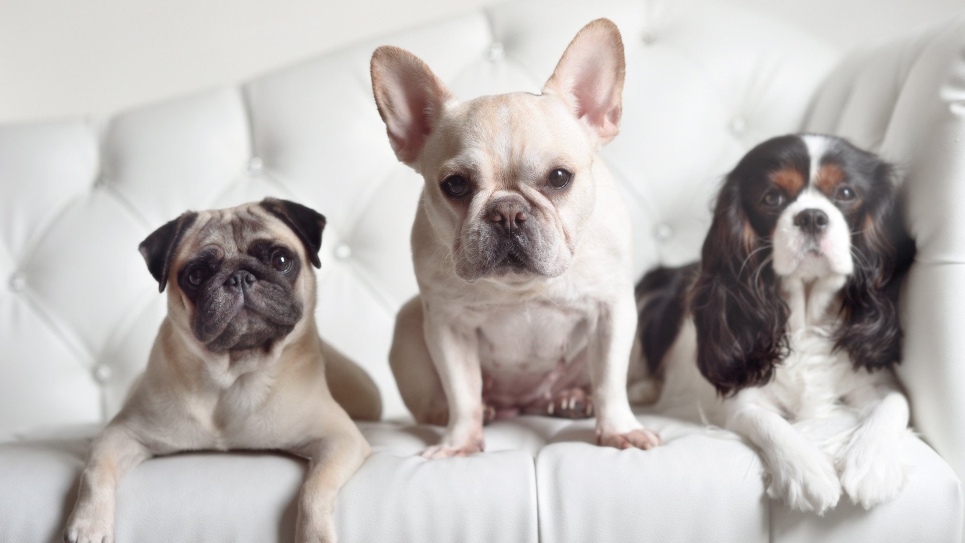 爱游戏大厅-当足球心脏在新大陆搏动，记那个小贾伦不手软的世界杯史诗之夜