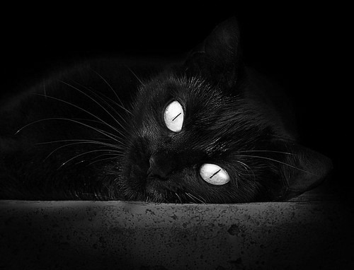 马克西觉醒之夜，一记冷血三分终结汽车城最后的轰鸣