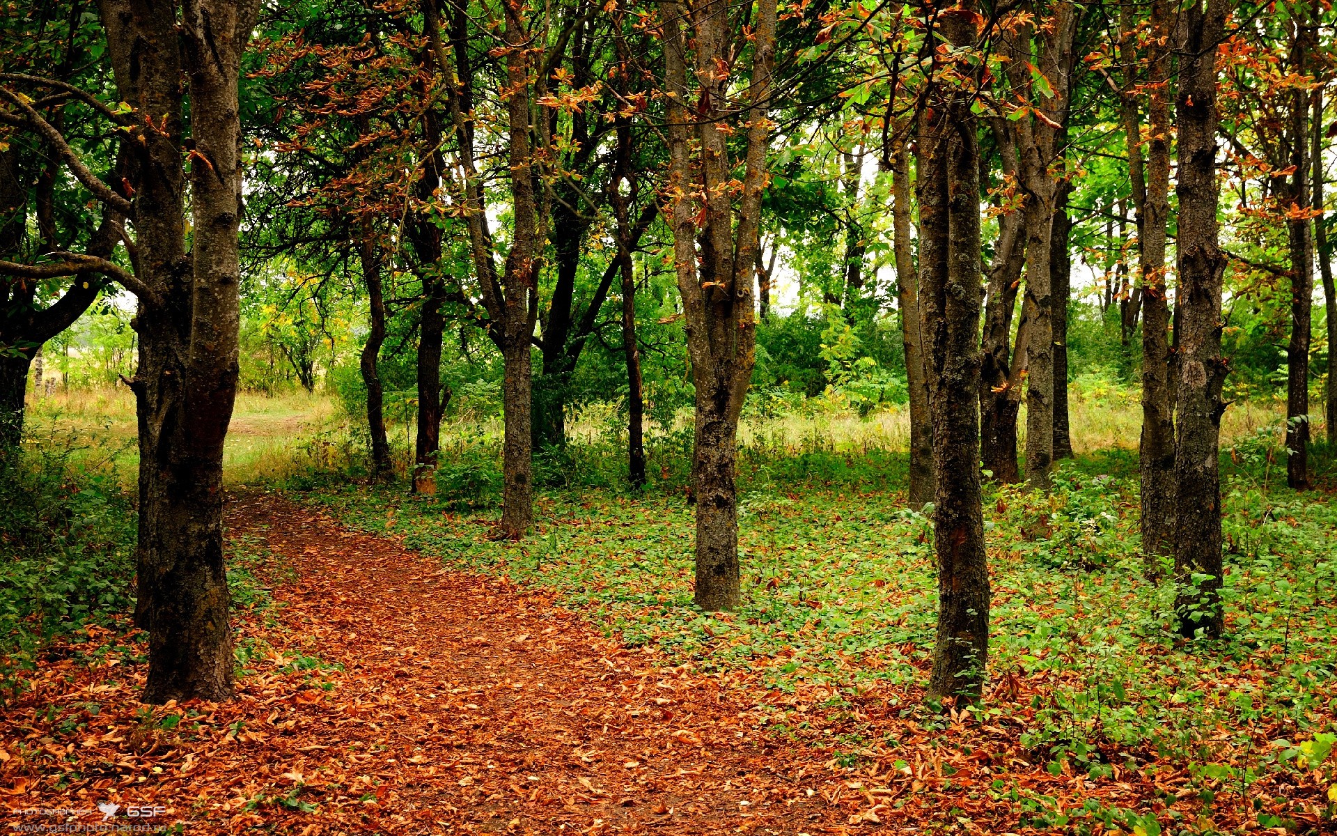 一节定乾坤,欧冠的窒息15分钟与沙特的神奇10分钟