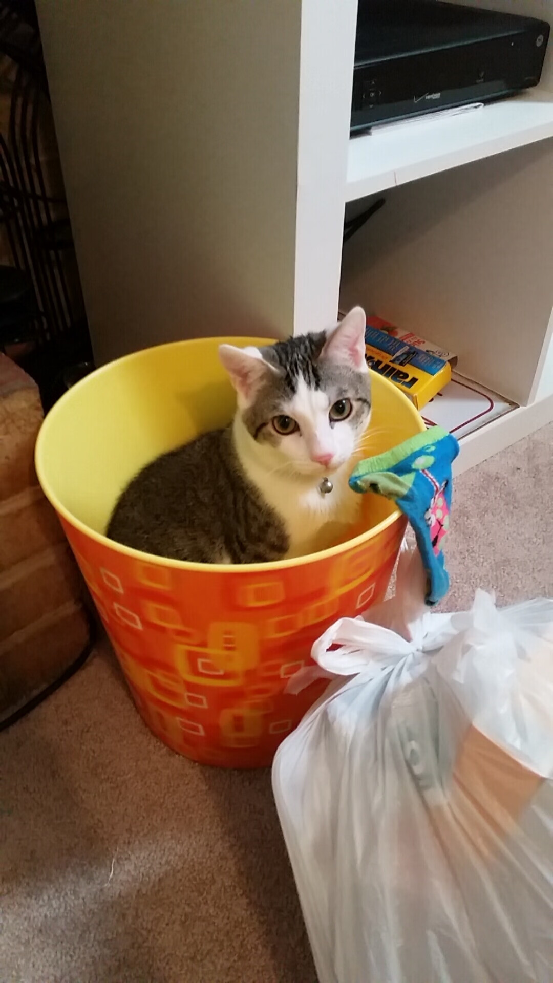 街道如弦，巨星奏鸣，F1夜赛与布克的共生狂想