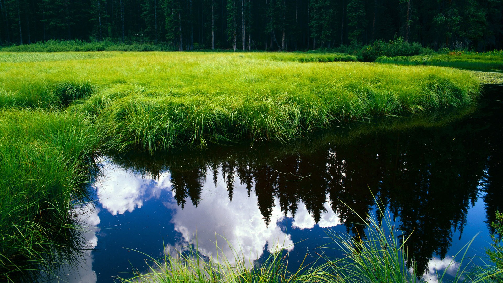 金玟哉一夫当关,国际米兰友谊赛零封荷兰的幕后英雄