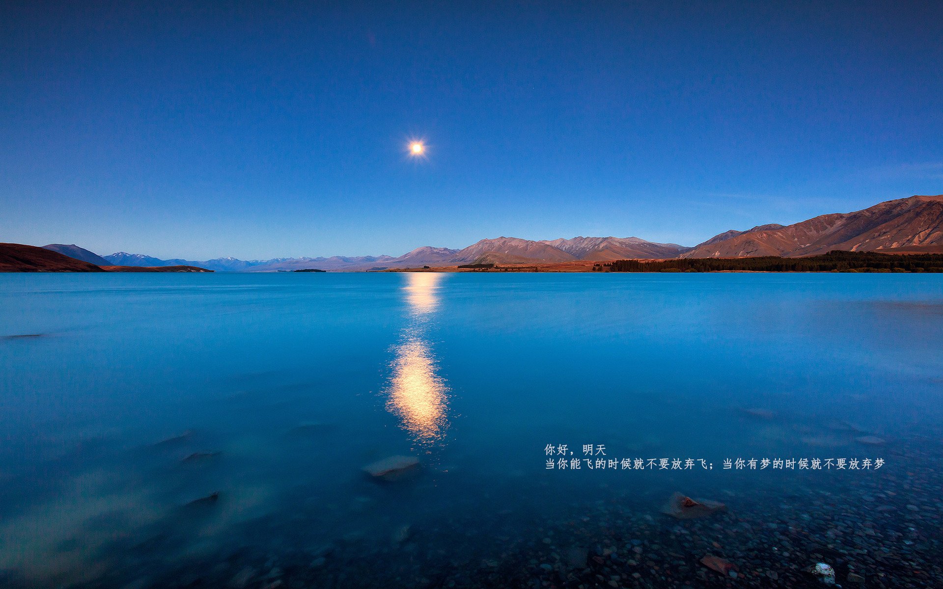 王国易主，当国王封锁奇才，莫兰特加冕关键先生