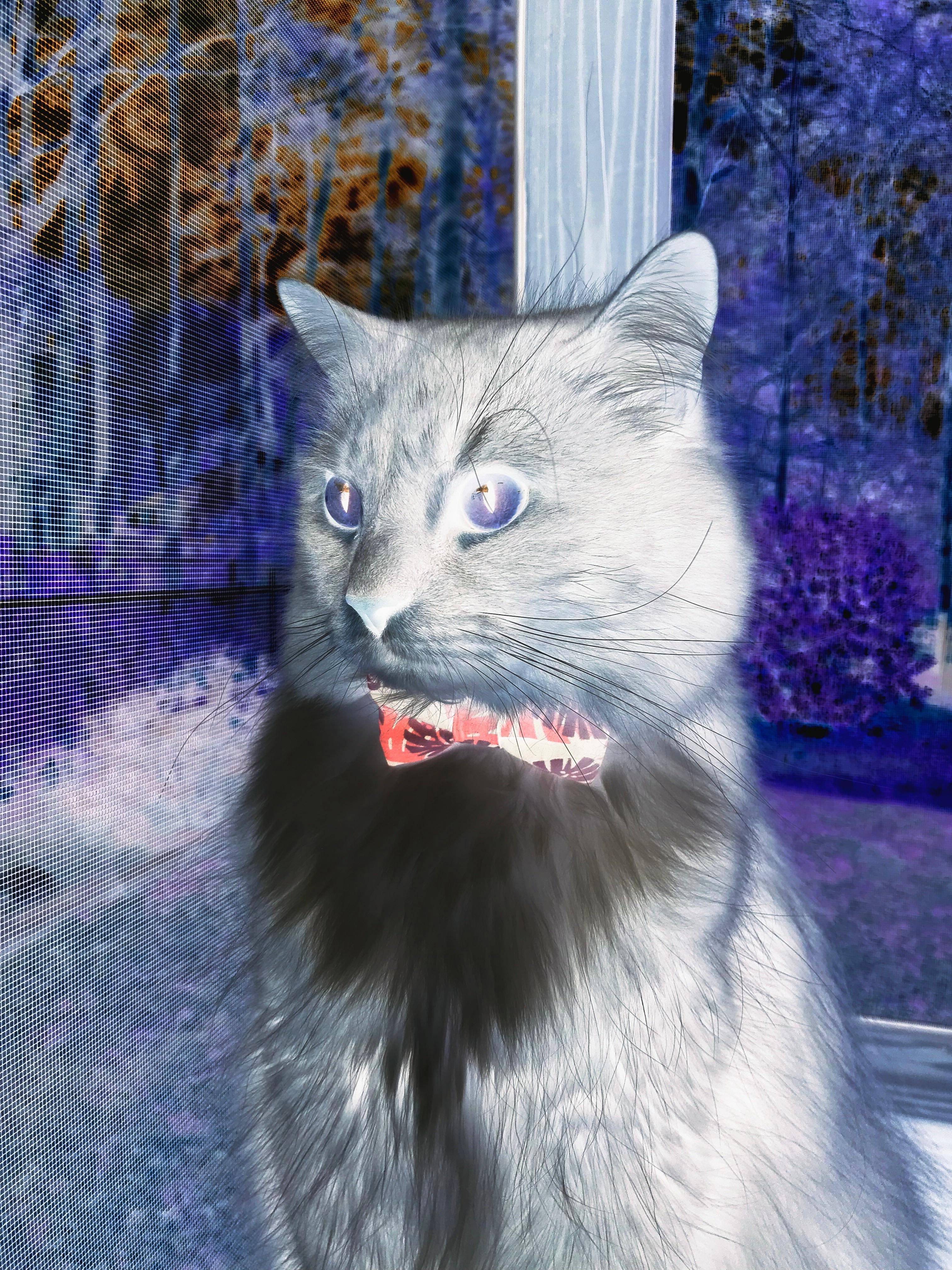 赛后评分拉满,是今晚的数据,更是二十一年的标尺