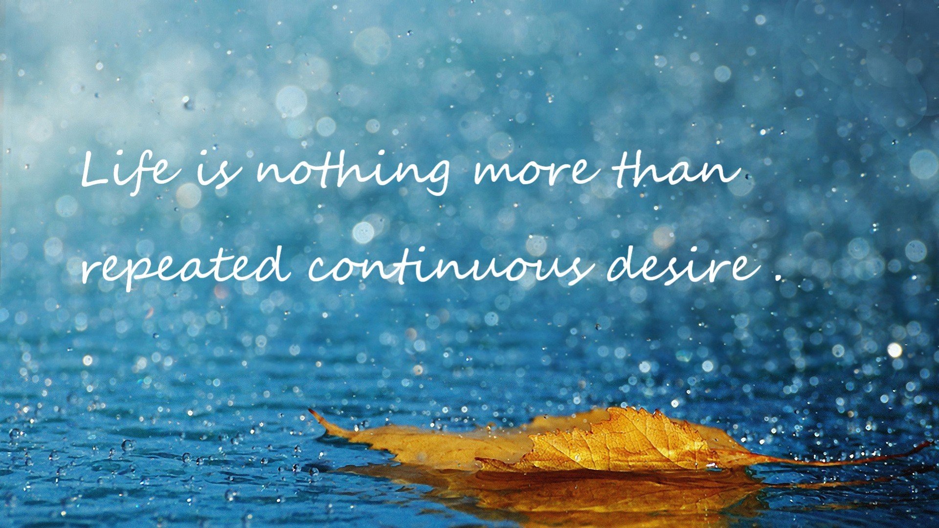 暗黑封印·天山脚下,戈贝尔如何用死亡缠绕,见证公牛跨洲际绝杀新疆