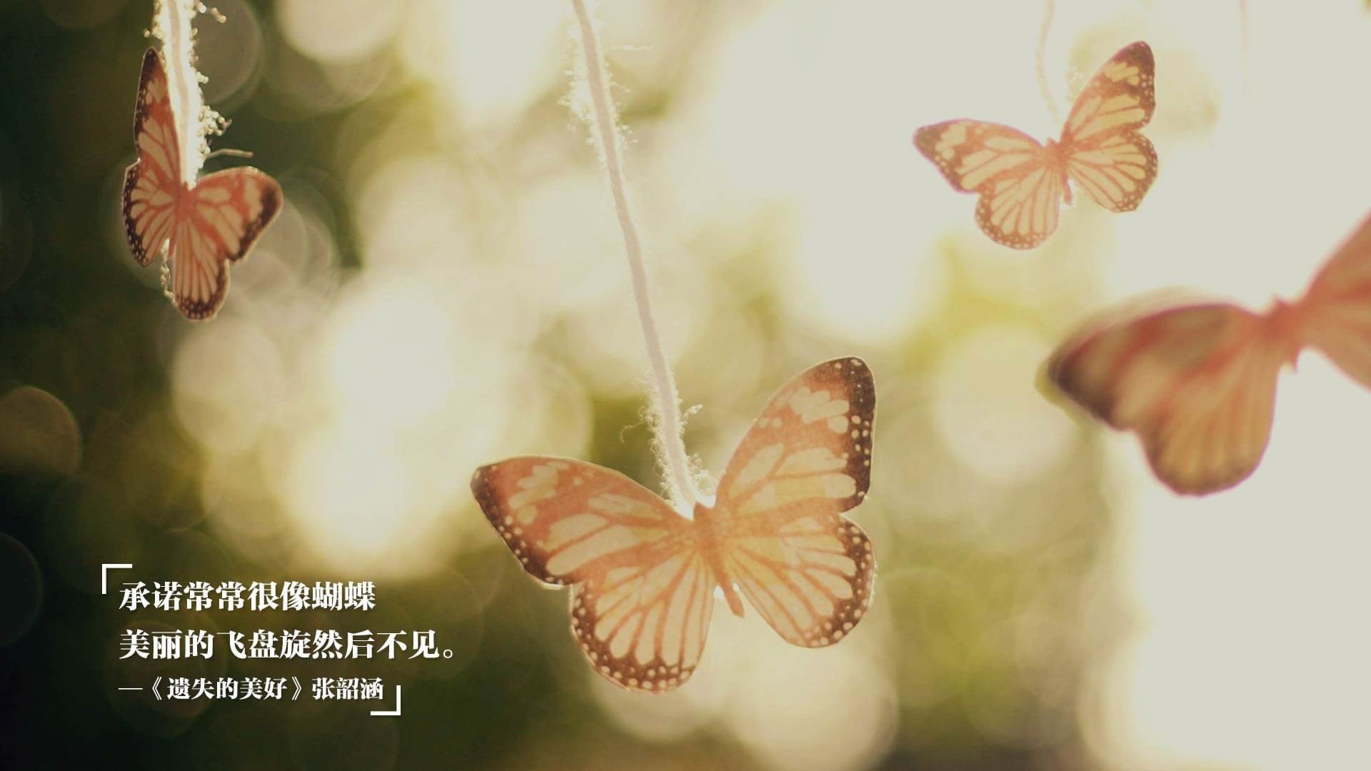 沉默的胜利者,纽约尼克斯如何抢走了伦纳德的夜晚