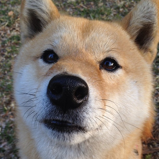 钢铁防线与璀璨锋芒,凯恩的锁链与葡萄牙的火焰