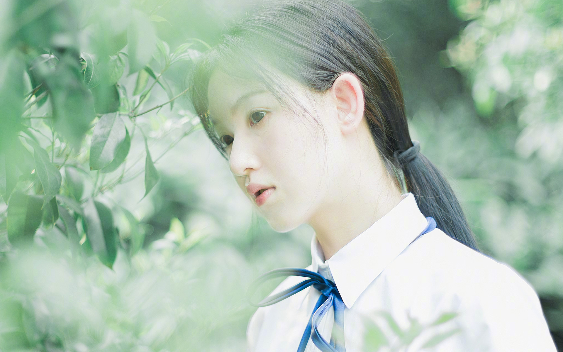 那一夜，米切尔为英超戴上王冠