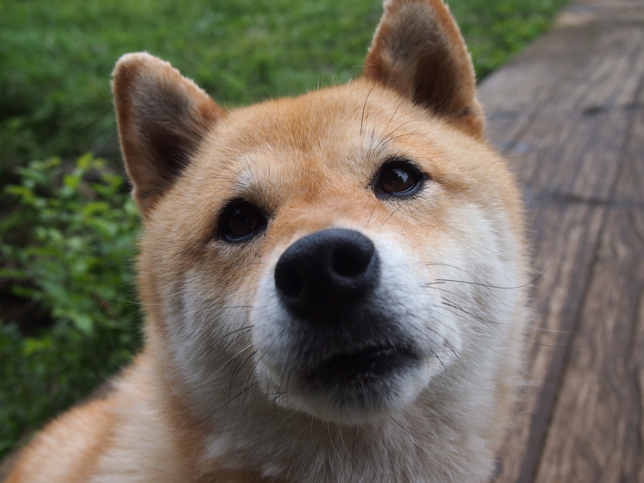 虚实之间,灵光一现,李刚仁的魔法如何让比利亚雷亚尔轻取乌克兰劲旅