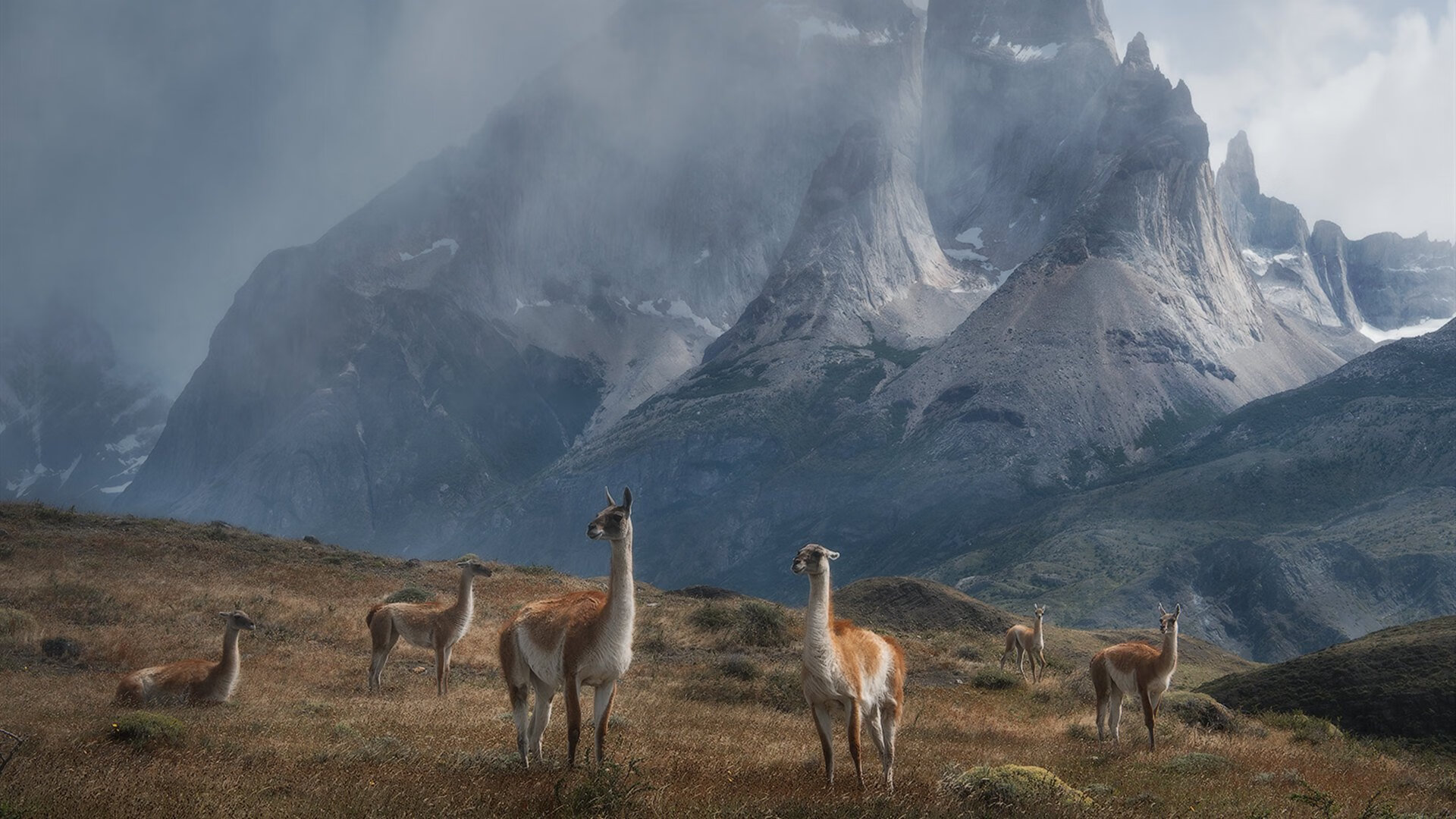 深圳队冰封南海岸,欧文末节20分率队粉碎热火不败金身