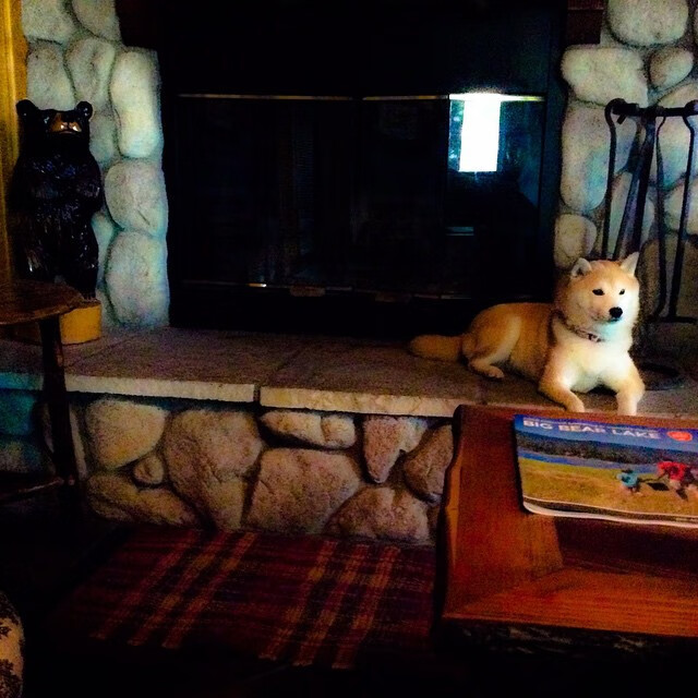 凯恩开局闪击浇灭希望，墨西哥在残酷巅峰对决中让洪都拉斯提前熄火