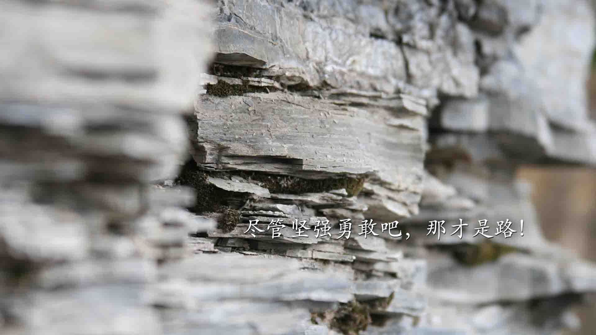 爱游戏下载-血色黄昏下的荣耀，2026世界杯C组，匈牙利绝杀喀麦隆，罗德里戈一个人的史诗
