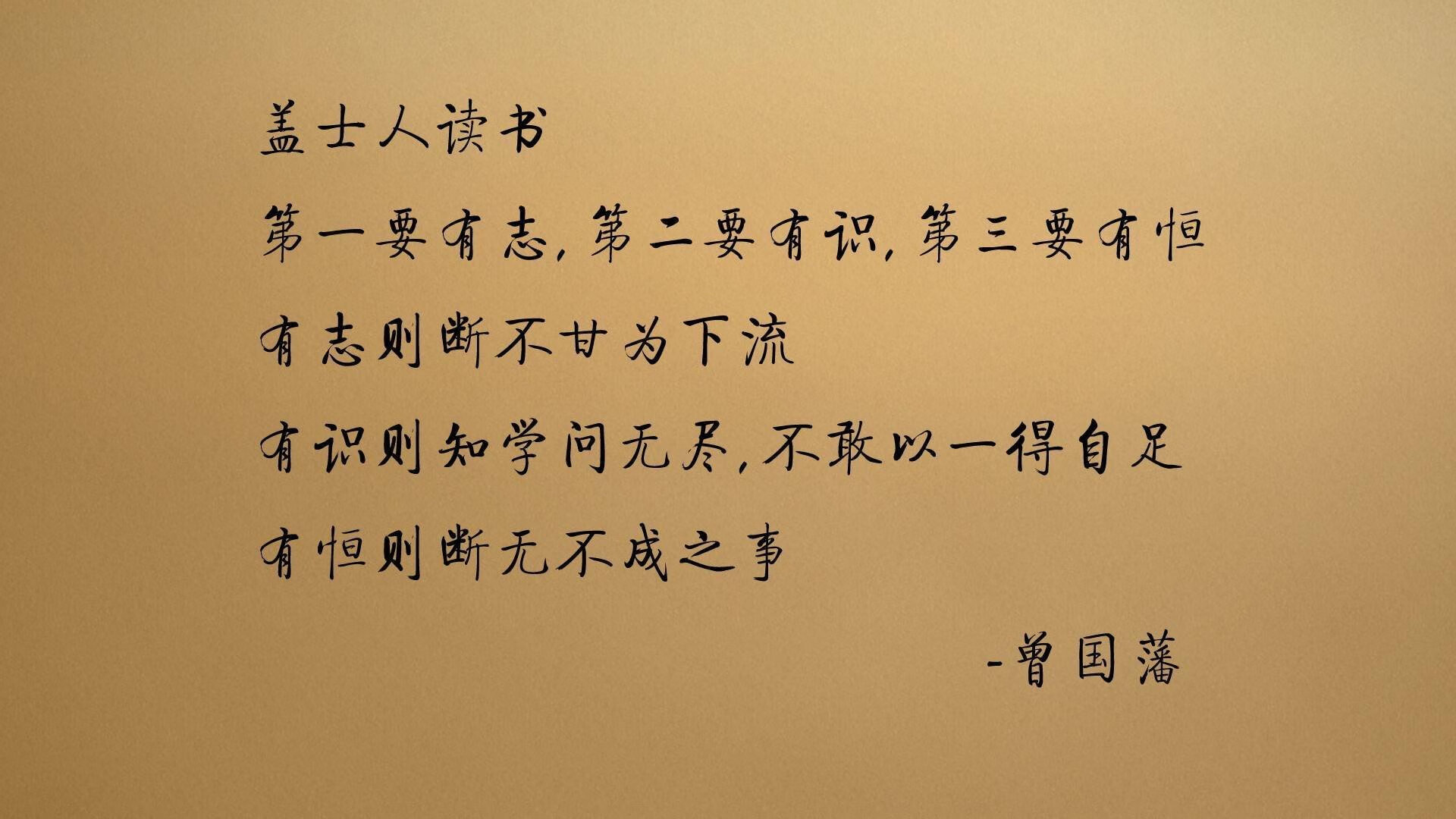 宿命之墙与波斯铁骑，2026世界杯八强战，库尔图瓦封神之夜，伊朗碾压厄瓜多尔书写历史