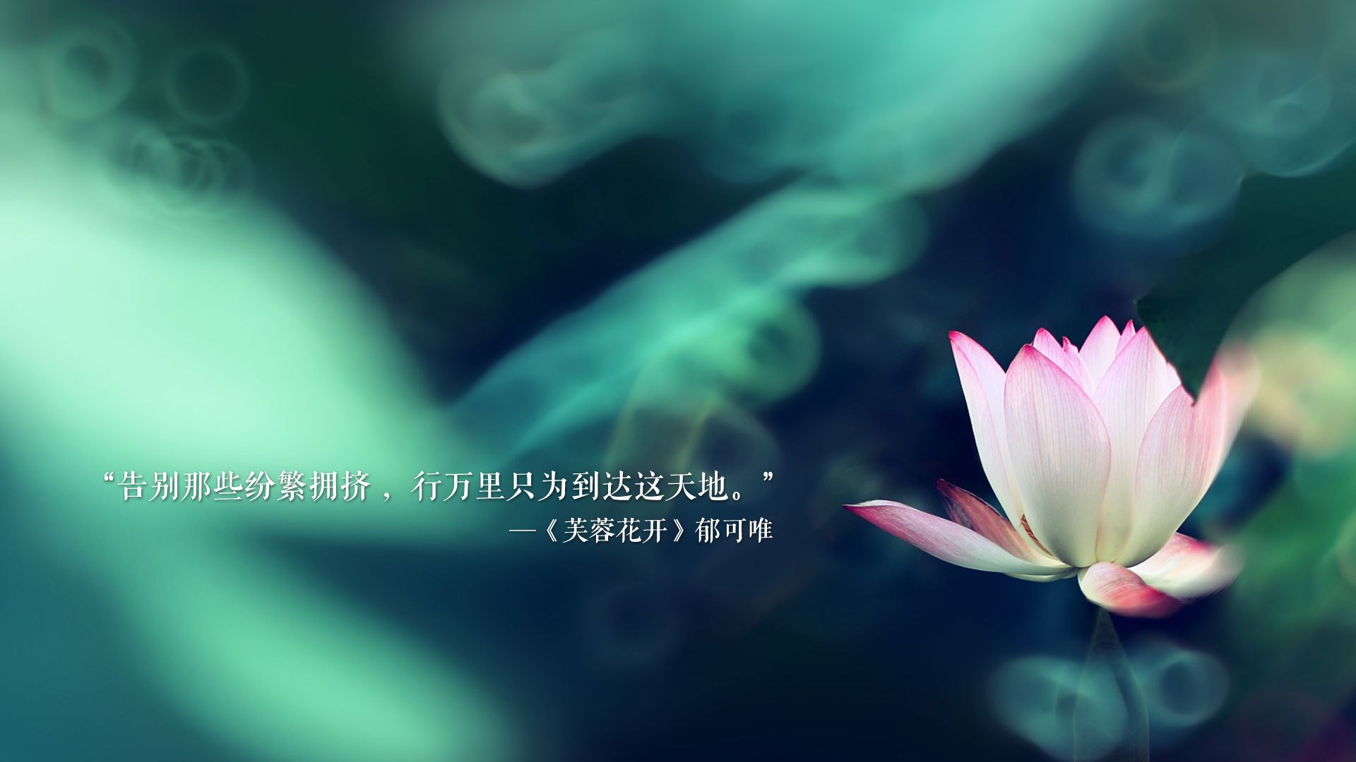 当黑马策马狂奔,2026世界杯E组,泰国横扫加纳背后的全场压制密码