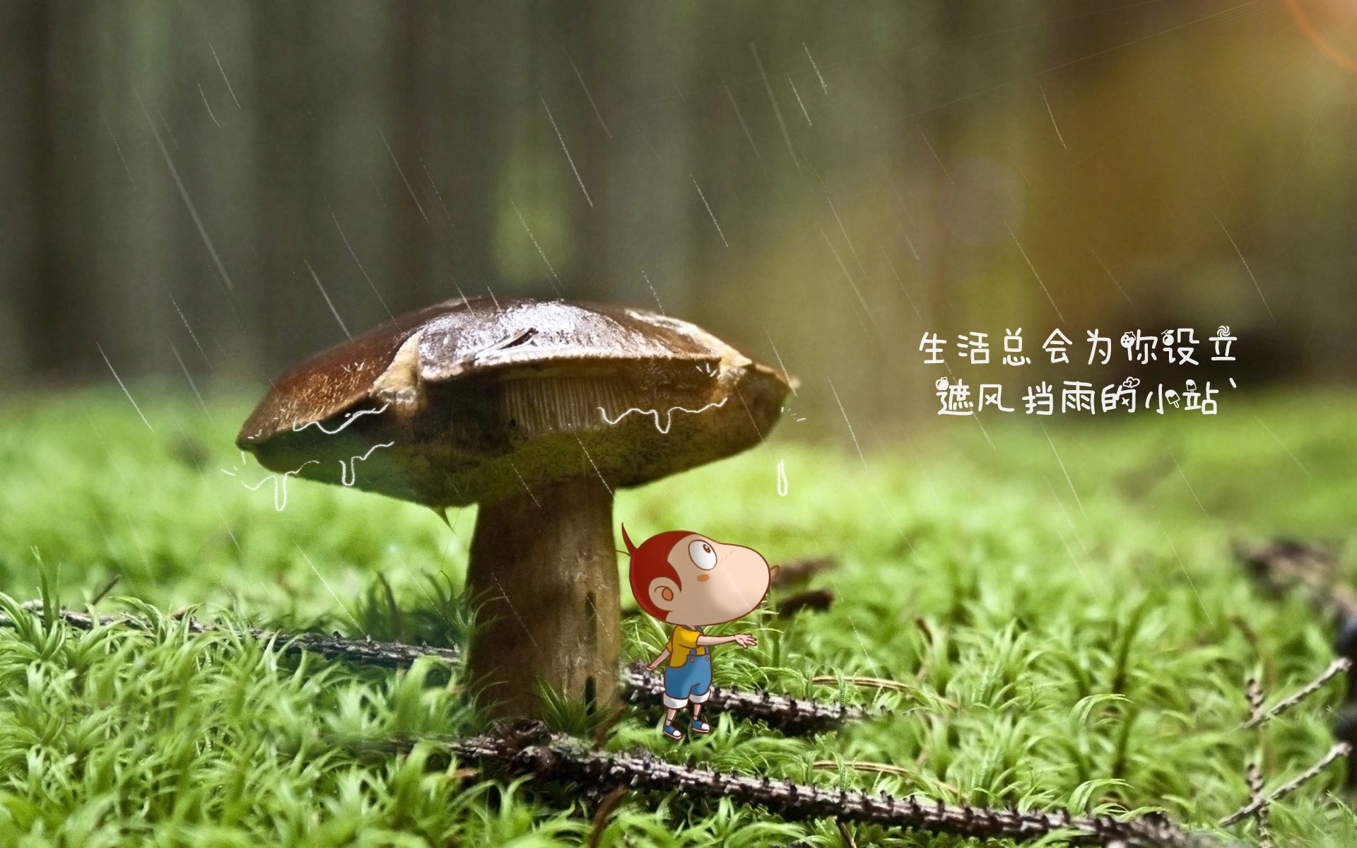 阿诺德的独舞，2026世界杯F组，泰国碾压冰岛，一场改写亚洲足球历史的唯一性战役