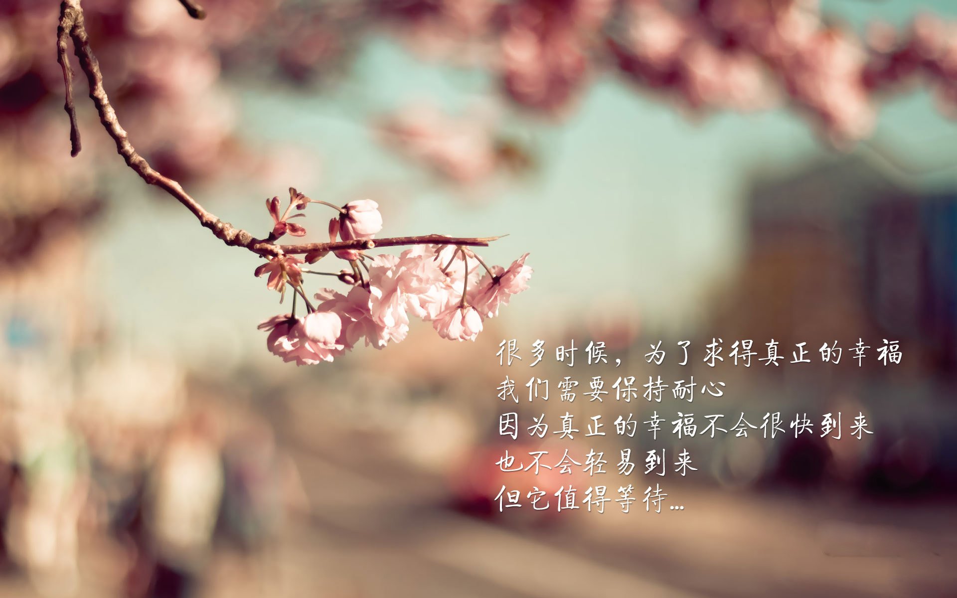 蓝衣军团的救赎之夜，迪亚斯一剑封喉，意大利在2026生死战中碾碎乌拉圭